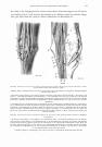 Thumbnail of page 3