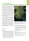Thumbnail of page 1