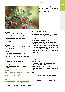 Thumbnail of page 2