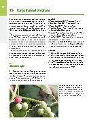 Thumbnail of page 1