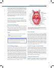 Thumbnail of page 3