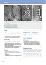 Thumbnail of page 1
