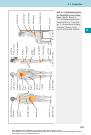Thumbnail of page 2