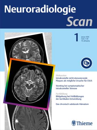 Neuroradiologie Scan