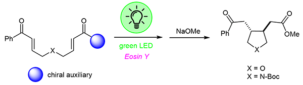 Image for article: Light-Driven Stereoselective Aryl Bisenone Cycloaddition: A Metal-Free Strategy for the Construction of Functionalized Pyrrolidines and Tetrahydrofurans