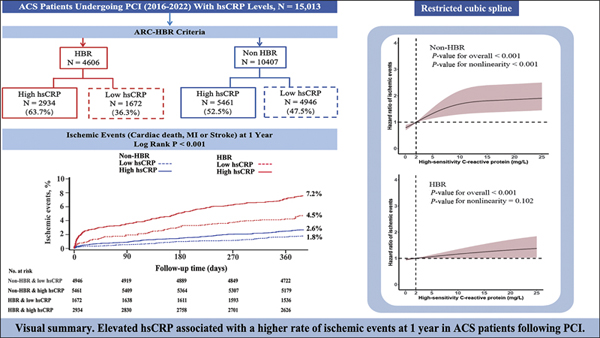 Image for article: Inflammatory and Bleeding Risks on Clinical Outcomes in Acute Coronary Syndrome Patients Undergoing Percutaneous Coronary Intervention