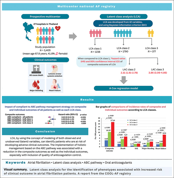 Image for article: Latent Class Analysis for the Identification of Phenotypes Associated with Increased Risk in Atrial Fibrillation Patients: The COOL-AF Registry
