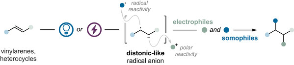 Image for article: Reductive Functionalization of C–C π-Bonds via Alkene Radical Anions